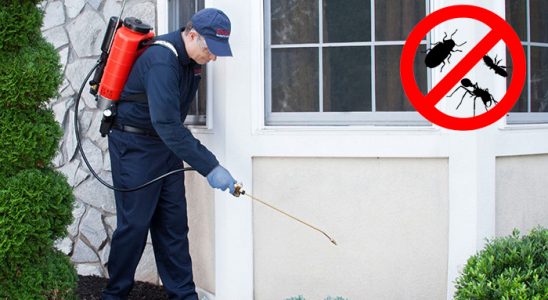 Başakşehir Böcek ve Haşere İlaçlama böcek ilaçlama ve haşere kontrolü — ilaclama-tr.com